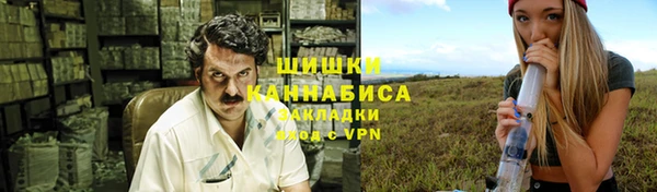 PSILOCYBIN Белокуриха