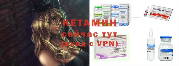 стаф Осинники