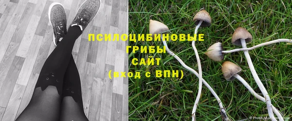 бошки Беломорск