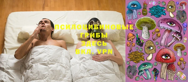 PSILOCYBIN Белокуриха
