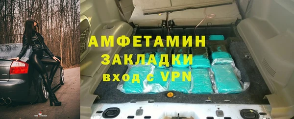 PSILOCYBIN Белокуриха