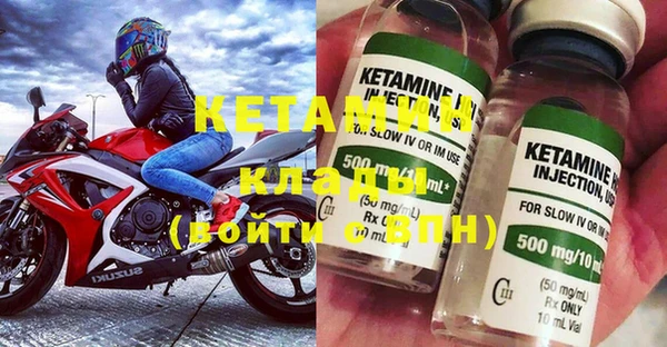 стаф Осинники